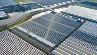 Pico Bello Hortensia - 2.821 m²